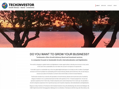 techinvestor.se snapshot