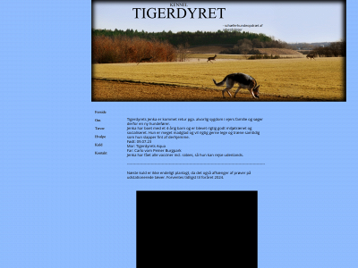 tigerdyret.com snapshot