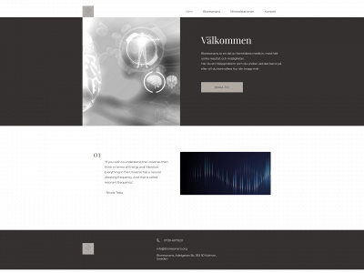 bioresonans.org snapshot