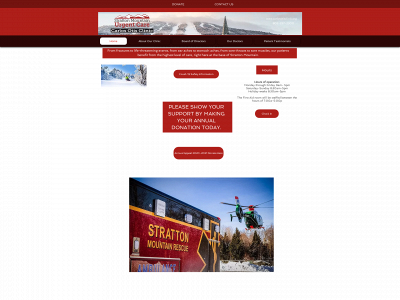 carlosotisclinic.org snapshot