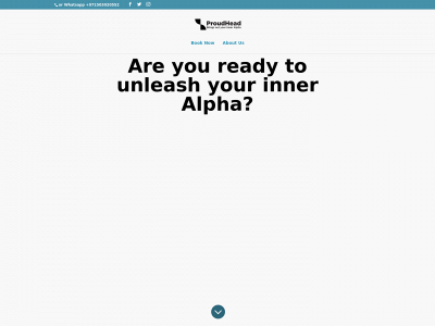 proudhead.com snapshot