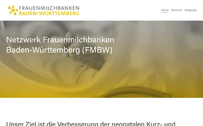 netzwerk-fmbw.de snapshot