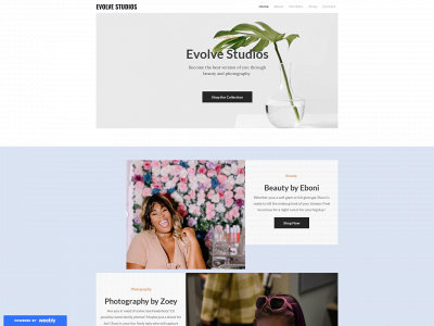 evolvestudios.weebly.com snapshot