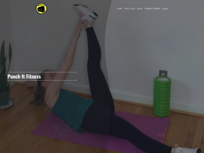 punchitfitness.com snapshot