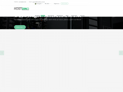 hostdino.com.br snapshot