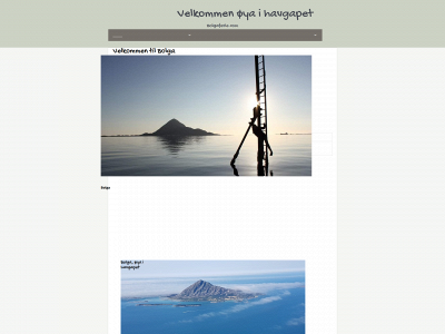 bolgaferie.com snapshot