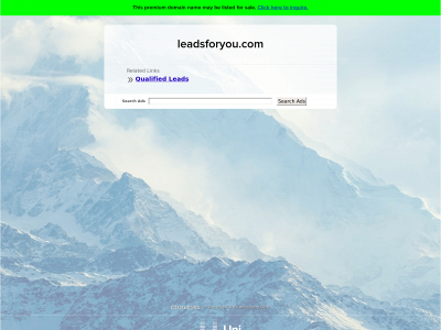 leadsforyou.com snapshot