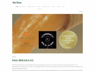 www.paulbricius.com snapshot