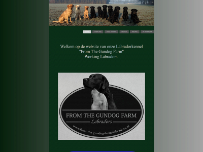 from-the-gundog-farm-labradors.nl snapshot