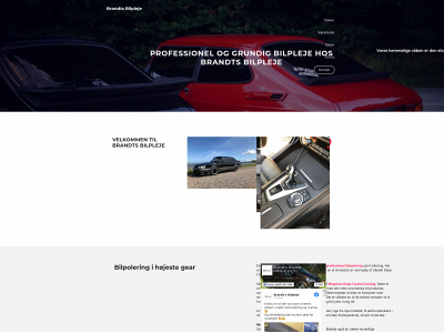 brandtsbilpleje.dk snapshot