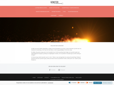 genster.info snapshot