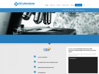 csilaboratories.com snapshot