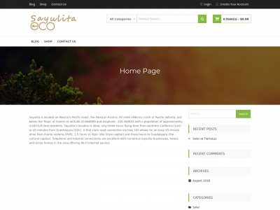 sayulitaeco.com snapshot