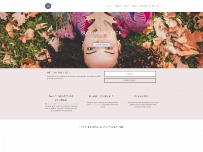 bloomingchick.com snapshot