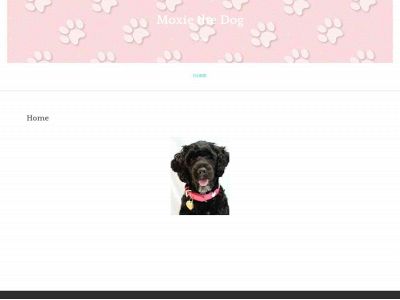 moxiethedog.com snapshot