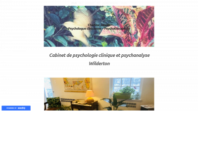 www.charlinejanvier.com snapshot