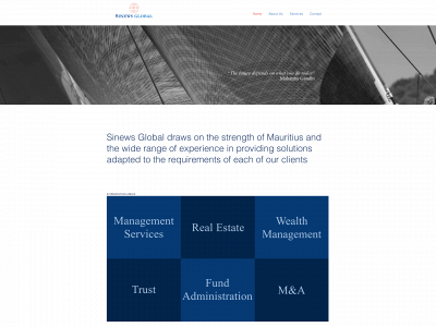 sinewsglobal.com snapshot