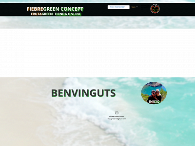 fiebregreen.com snapshot