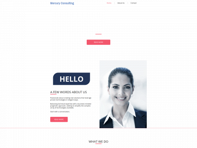 mercuryconsulting.co snapshot