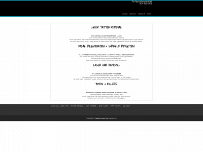 www.flawlesslaserspa.com snapshot