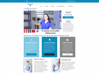 scandinaviannursing.com snapshot