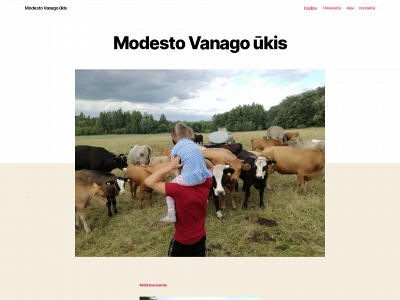 modestoukis.lt snapshot