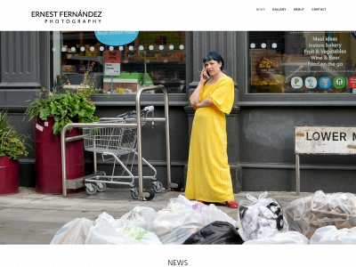 ernestfernandez.com snapshot