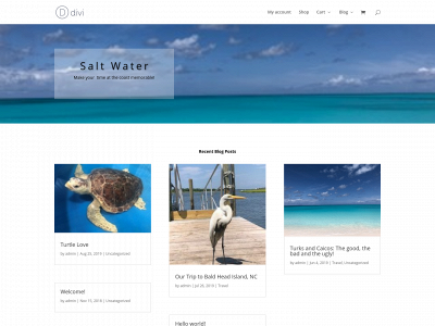saltwaterandsweettea.com snapshot