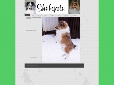 shelgate.se snapshot