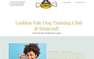 lvdtc.co.uk snapshot
