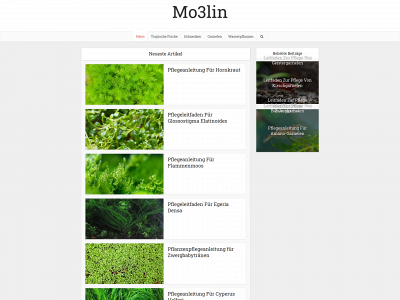 mo3lin.com snapshot