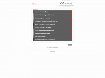 tzfinds.com snapshot