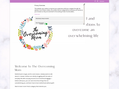 theovercomingmom.com snapshot