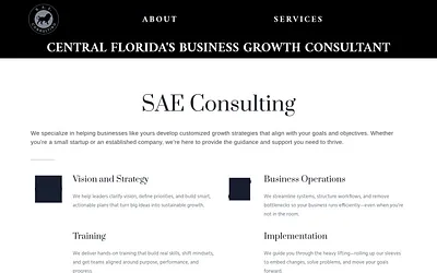 consultsae.com snapshot