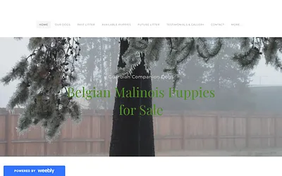 belgianmalinoisshepherdpuppies.weebly.com snapshot
