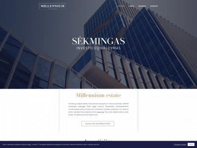 millennium.lt snapshot