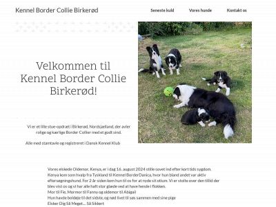 bordercolliebirkeroed.dk snapshot