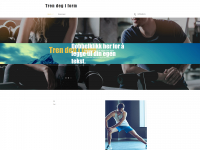 trendegiform.no snapshot