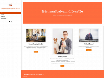 citykettu.fi snapshot
