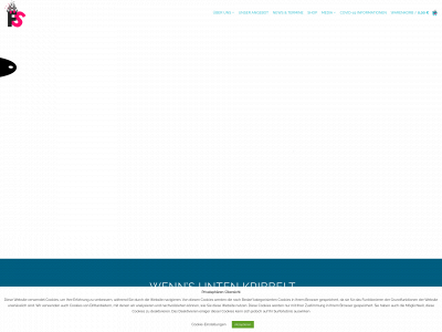 faszination-singen.com snapshot