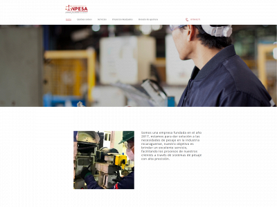 ingenieriadepesaje.com snapshot