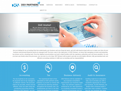 dsvpartners.com.au snapshot