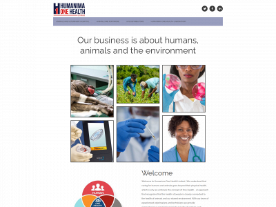 h1hltd.com snapshot