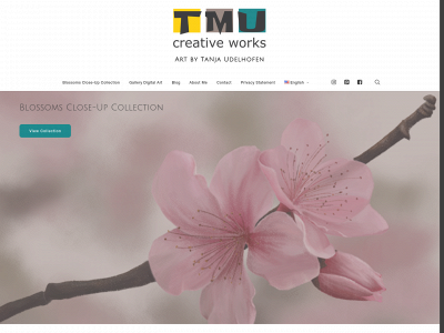 tmu-creativeworks.nl snapshot