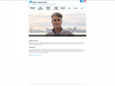 deliaconsulting.com snapshot