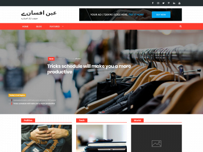 afsany.com snapshot