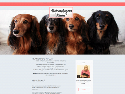 majroskogens-kennel.one snapshot