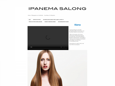 ipanemasalong.com snapshot