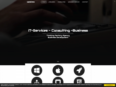 camirex.com snapshot