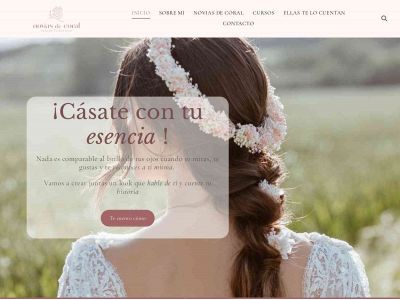 noviasdecoral.com snapshot